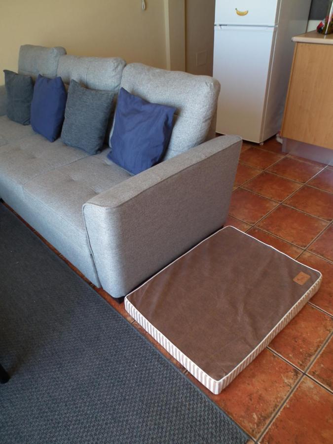 Frodo Haus Apartman Tazacorte Kültér fotó